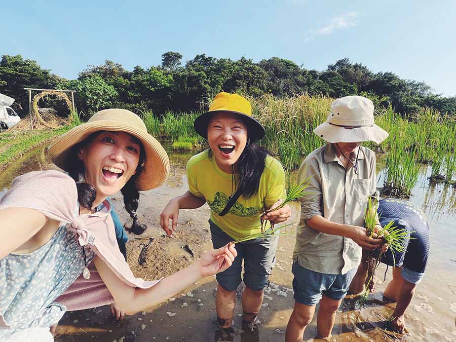 Three visitors laughing, standing in a muddy paddy holding rice seedlings