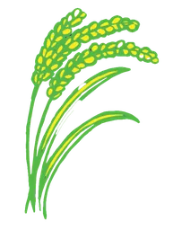 Rice icon