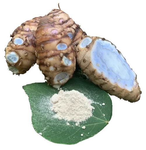 Zedoary root and powder